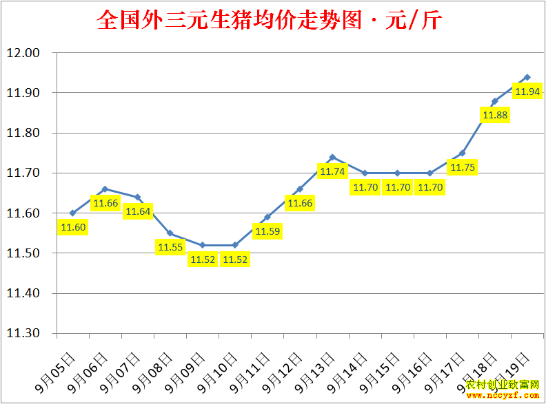 2022��ȫ�������۸��ǵ���