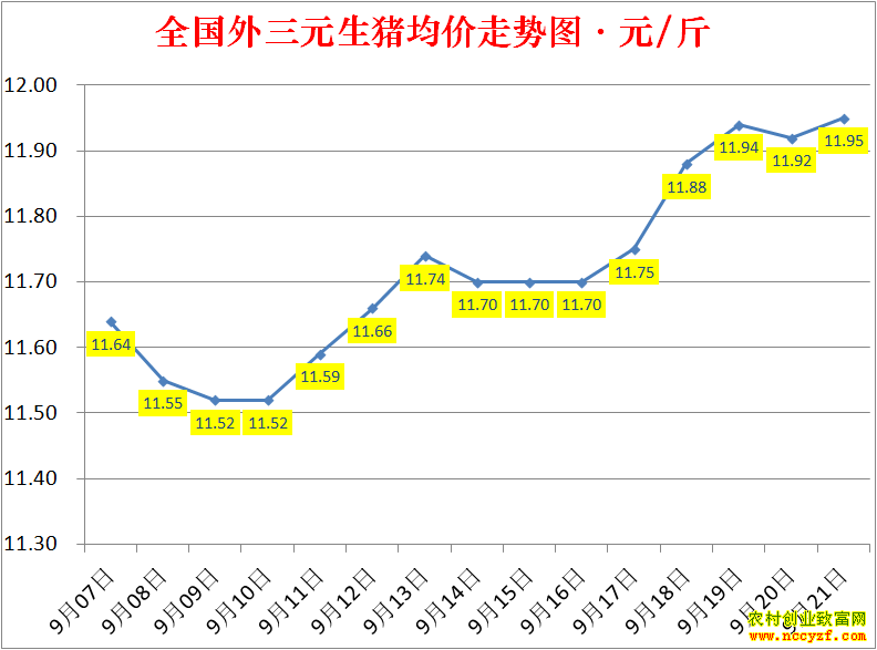 2022��ȫ�������۸��ǵ���
