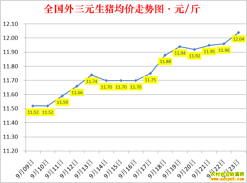 2022��ȫ�������۸��ǵ���