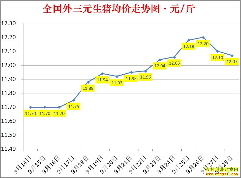 2022��ȫ�������۸��ǵ���