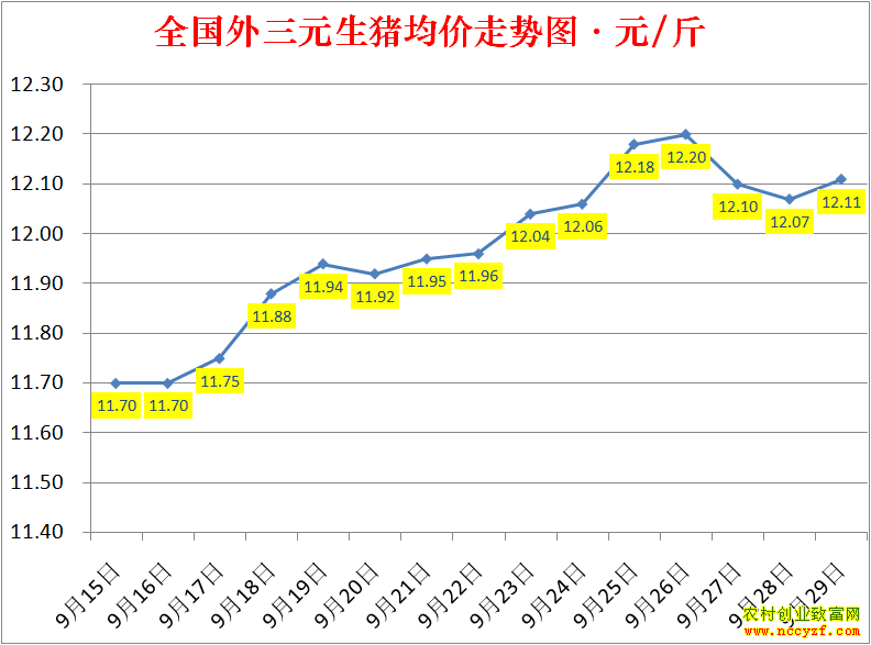2022��ȫ�������۸��ǵ���