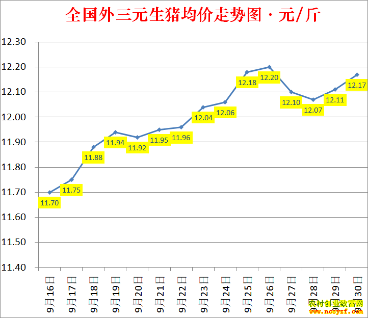 2022��ȫ�������۸��ǵ���