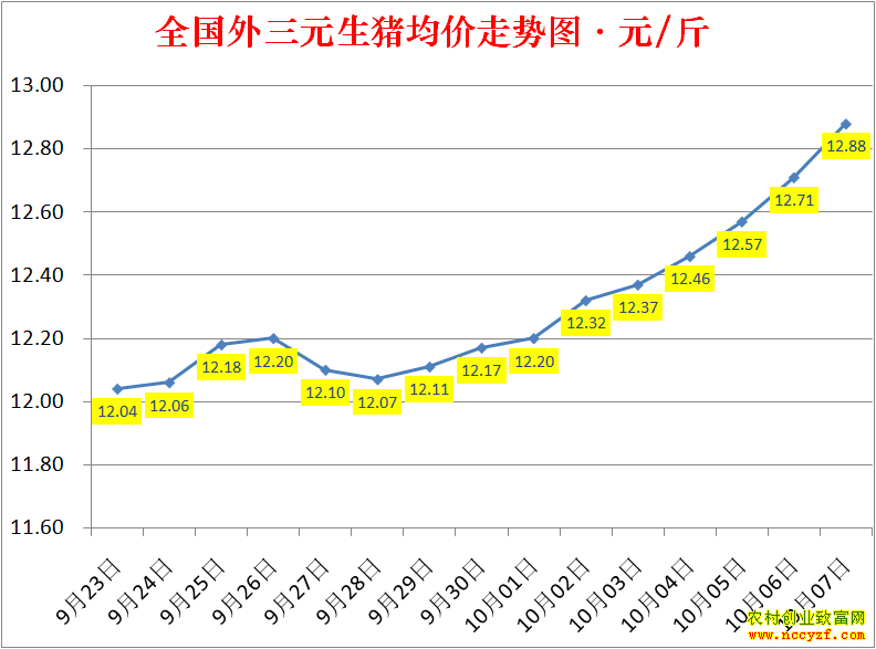 2022��ȫ�������۸��ǵ���