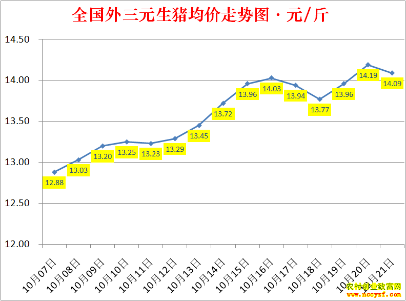 2022��ȫ�������۸��ǵ���