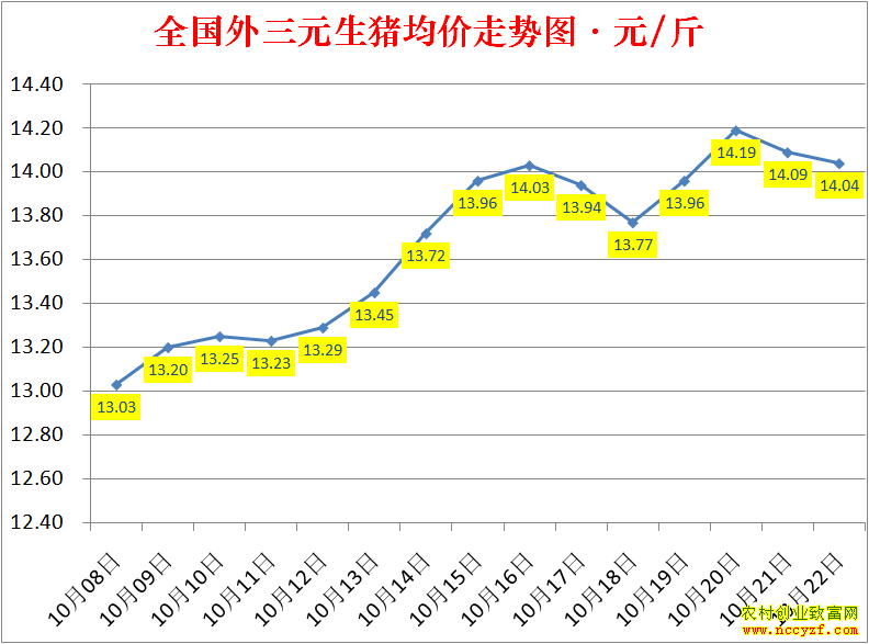 2022��ȫ�������۸��ǵ���