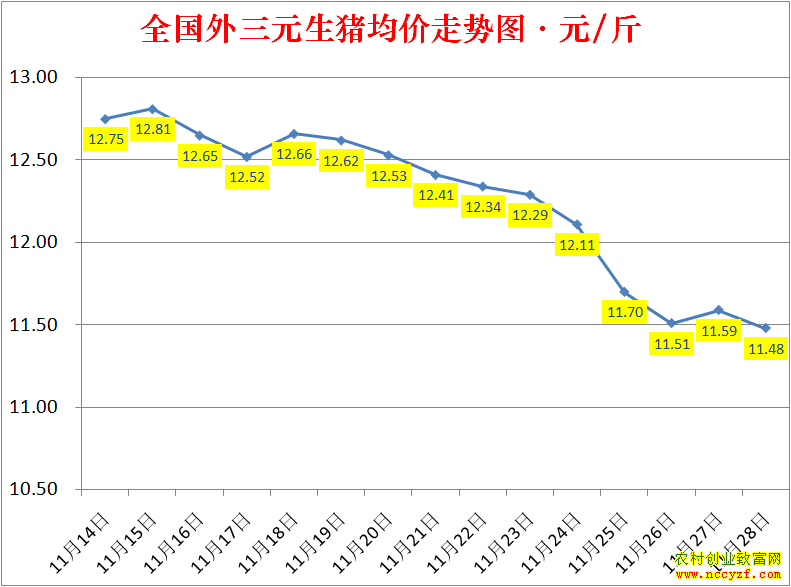 2022��ȫ�������۸��ǵ���