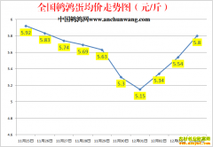 2022.12.4�й�������ȫ�����ȵ��۸��ǵ���