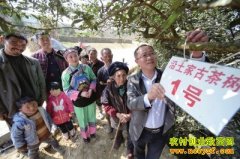 �����غ�ǧ��Ų踻����