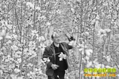 ������壺������ֲ��ũ��