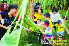 �㶫����ũҵ��Ρ��֡�����ҵ̬��