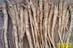 �ֽ۹�׬Ǯ�𣺽۹���ֲ�ɱ���Ч�����