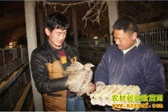 ��ֳ�߲�ɽ����ɽ����������������