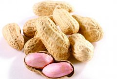 ��������ʲô��;�������Ǳ��Ϊ����;��