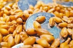 С����ӹ���Ŀ��ǰ������