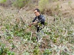 �������ƴ�ѧ��Τ�ջ�������߲�԰