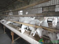 �Ĵ��˱���ͥ����ֳɽ���������¸�·