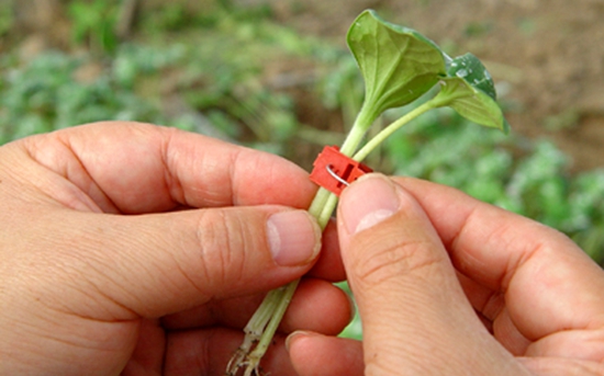 �ƹϼ޽��벻�޽ӵ�������ʲô��