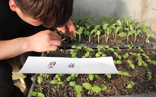 �ƹ���ֲ���ƹϼ޽Ӽ���Ҫ��