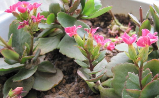 ���ٻ���Ǥ�巽��