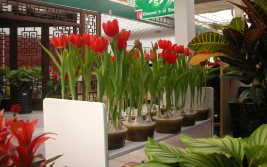 ˮ����������Կ������ꣿ