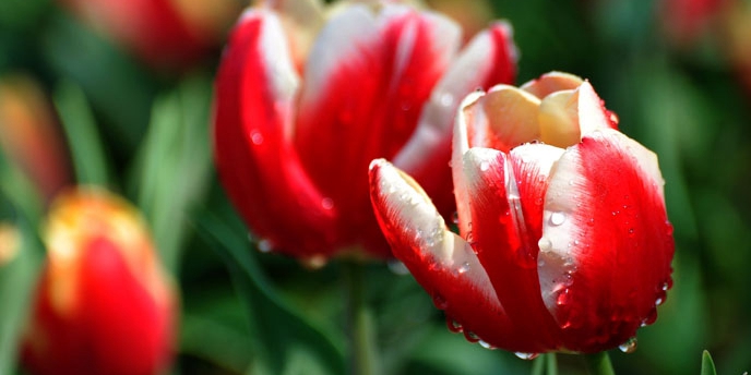 ������ä֦ä����ԭ��