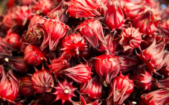 õ���Ѻ�õ�廨������