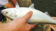 [ÿ��ũ��]�������� ������ֳ��������