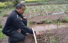 �Ĵ��ڽ���ɣ֦�ֹ� ���ϲġ�����