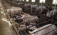 �ִ���С����������׬Ǯ֮��