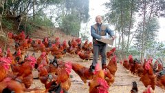 �Ĵ�������Ҧ������ֳ��ɽ��ժ��ƶ��ñ