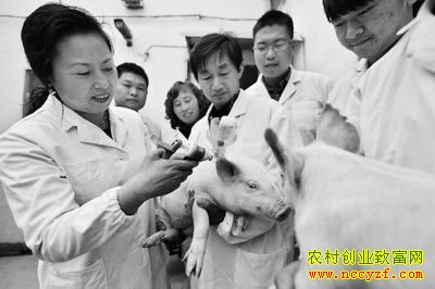 ���շ�̨�ء�Ů���ġ����÷��������������С��