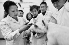 ���շ�̨�ء�Ů���ġ����÷��������������С��