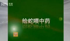 [��ɫʱ��]Ԭ�б����ι��ι��ҩ����Ч�淭��