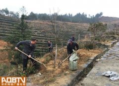 ɽ������ֲ����Ŀ���������������������ֲ�¸���