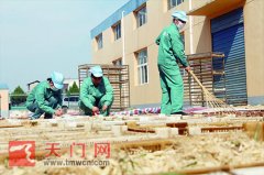 �������Ž�������ֲ��ҩ�ĳ��¸���ͷ��