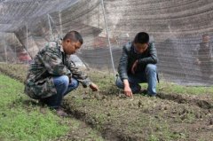 �Ĵ��봨���˽�������Ǿ� �󵨳��Ա���·