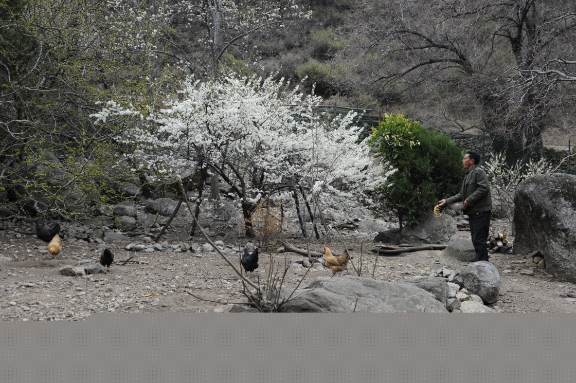 Ԯ�ع������������¸�