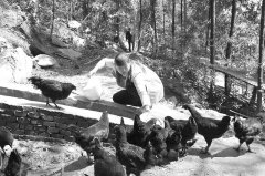 �Ĵ����ؽ������������� Я��ƶ������ͬ�¸�