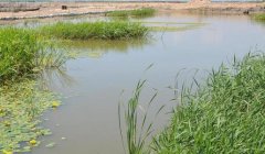 ��������׬Ǯ�ࣺ��ˮ����Ͷ���ټ�Ч��