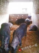 �����뽭ҩ��ʦ�˹���ת������ һ����������Ԫ