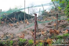 ����������ѧ���԰��»�����������ҵ�¸�