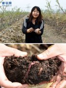 Ů��ʿ����Ƽţ������򾴴ҵ�¸�