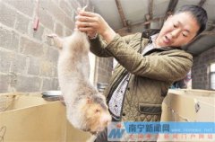 ������������������Ԫ��������ҵ�¸�