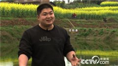 ������ջ��������� �����ǽ�