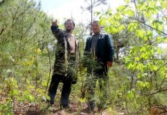 ����������̬������ֳ��ũ���¸�����Ŀ