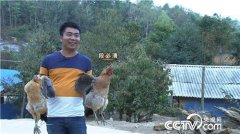 �α��壺�߾�С�����˻�������׬Ǯ��С��