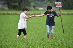 �����Ϻ���80�󡱷�������������Ӣ������ˮ���¸�