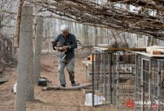 ��³������������ι���������¸�