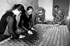 �����ֳЧ��ߣ�����ϴ���С�����������18��