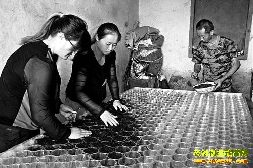 �����ֳЧ��ߣ�����ϴ���С�������������18��